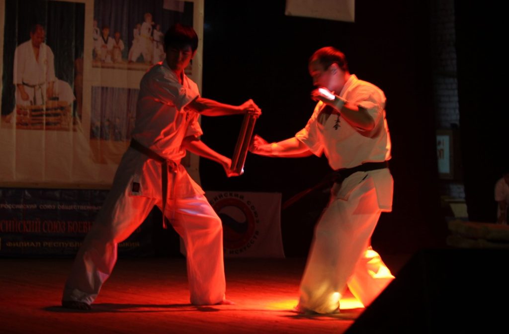 Фестиваль Единоборств